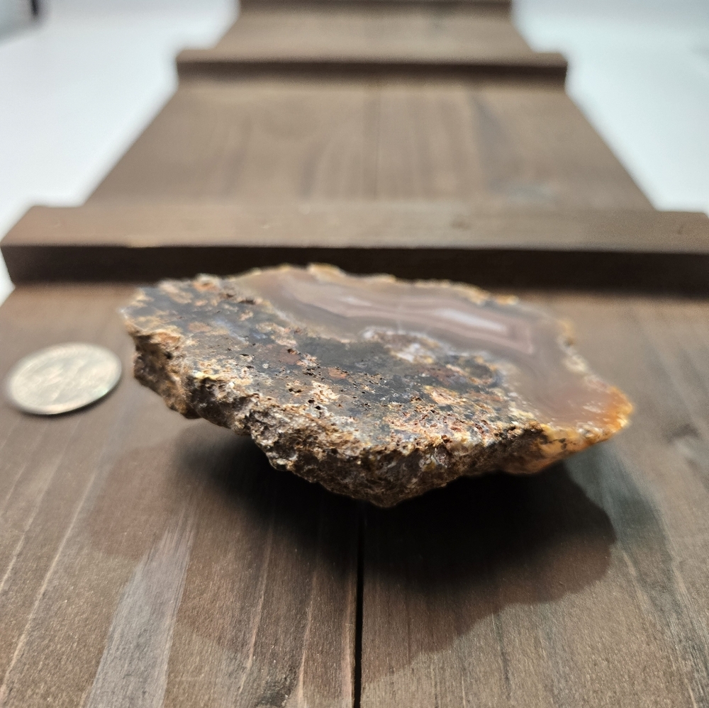 Coyamito Agate Laguna Mexico - Picture 12 of 12